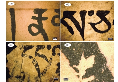 中国科学家首次识别古代藏纸中瑞香狼毒纤维的生物标记物