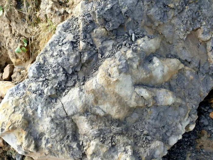 考古学家在英国发现有1.65亿年历史恐龙脚印化石