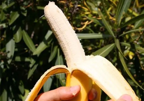 常吃香蕉对人体有哪些好处？