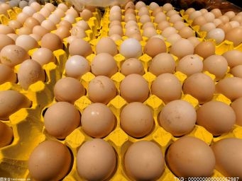 滁州辖区今年首次鲜鸡蛋供港 货值19.4万元