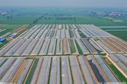 永州祁阳大力挖掘耕地潜能 全市落实粮食生产面积135.05万亩