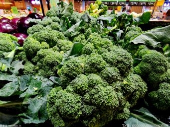 6月深圳食品價格同比上漲3.1% 鮮菜價格同比上漲7.4%