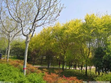 沈阳市于洪区已完成104个口袋公园建设 提升生态人居环境品质